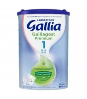 Gallia Galliagest Premium 1 Lait En Poudre B/800g à TALENCE